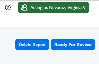 Travel expense report page showing the Ready For Review button.