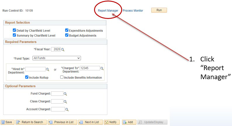 Budget report parameters and the Report Manager control.