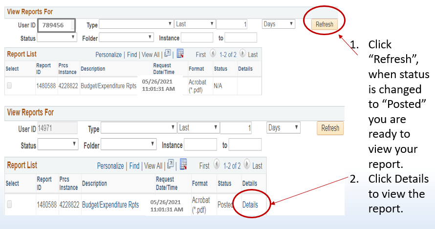 Report list showing report status and the Details link.