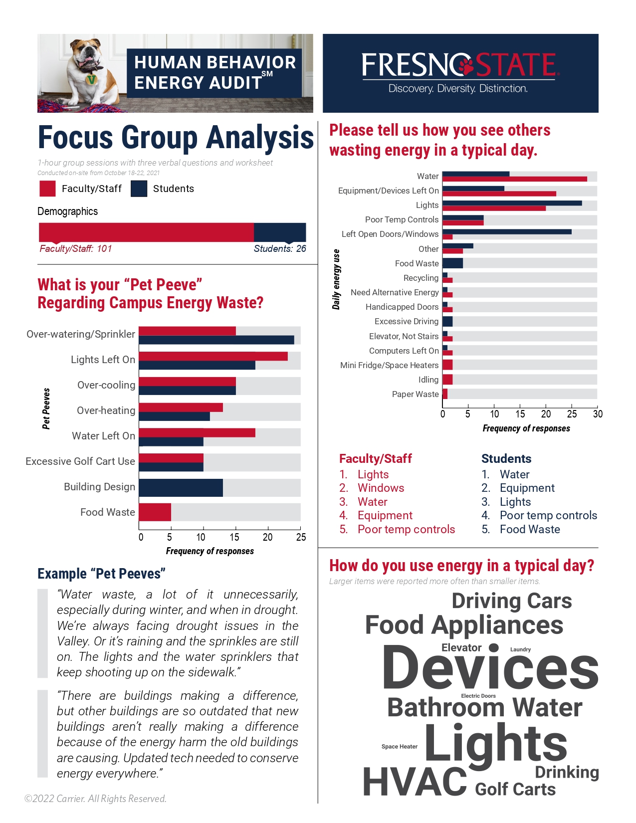 Focus Group analysis
