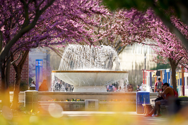 Fresno State fountain