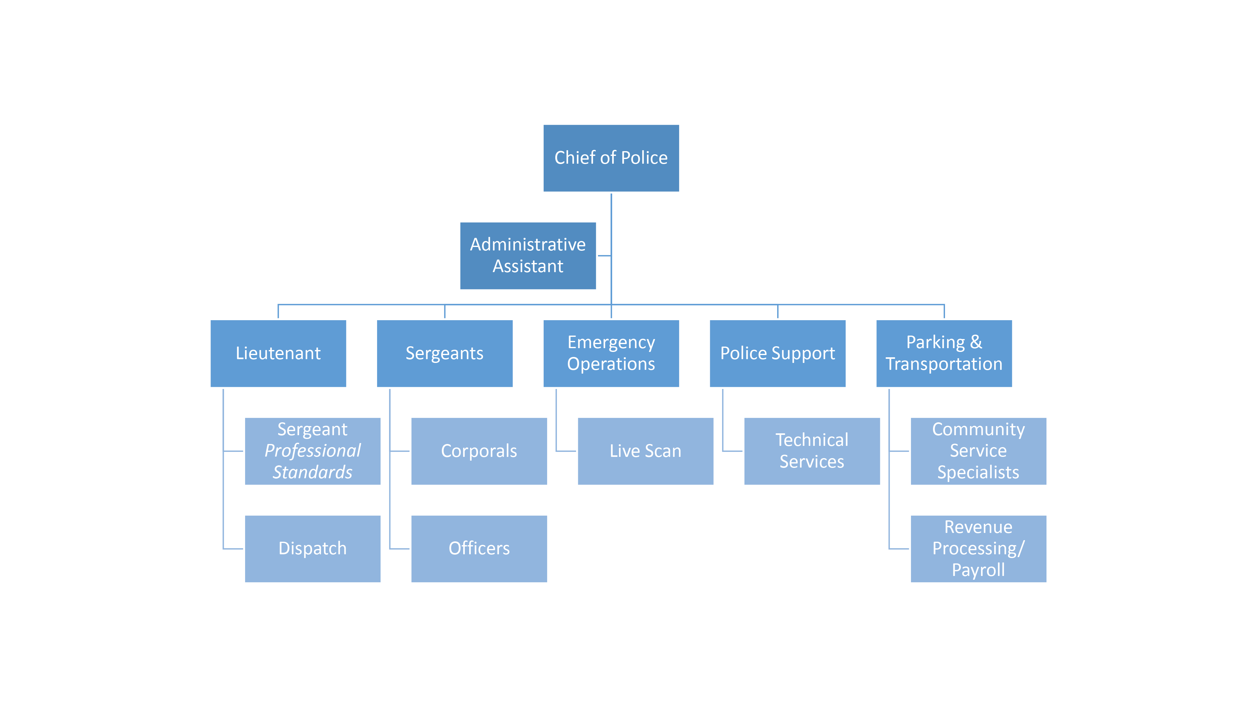Police Department Org Chart